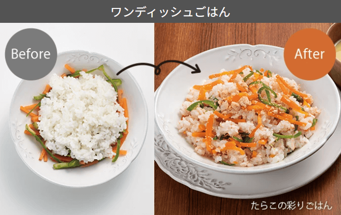 ワンディッシュごはん