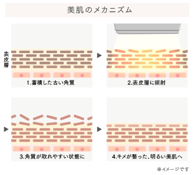ホワイトフォト（DPL）