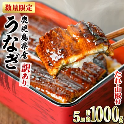 訳あり うなぎ蒲焼5尾以上・約1kg（鹿児島県東串良町）