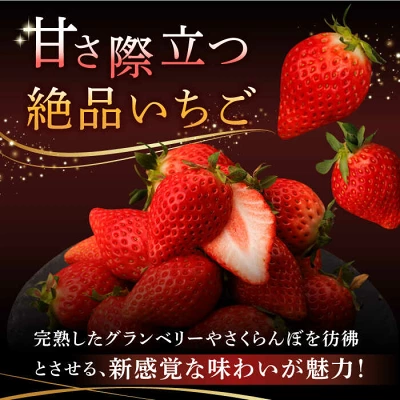 幻のいちご『咲姫（さきひめ）』2パック