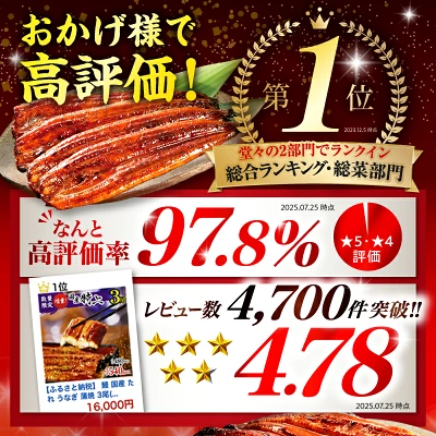 九州産 うなぎ蒲焼 3尾480g以上（宮崎県宮崎市）